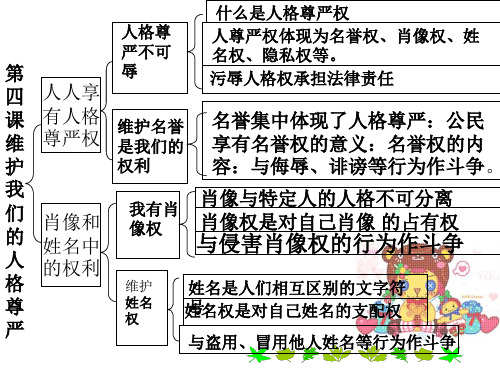 八年级政治我们的人身权利(1)(PPT)3-3