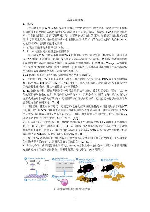 基因敲除技术