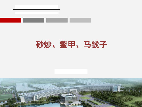 砂炒鳖甲、马钱子