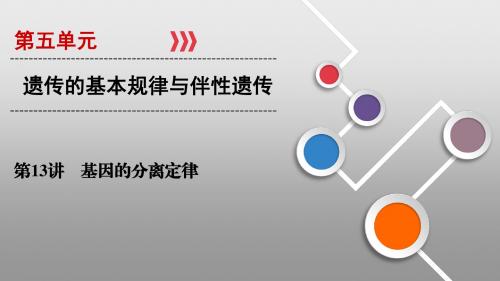 2019高考生物基因的分离定律课件(60张)