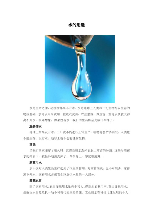 人教部编版 科学 三年级 水与生命拓展资料-水的用途