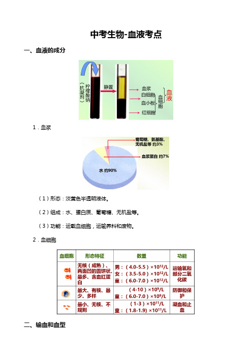 中考生物-血液考点