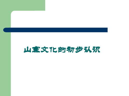中国山寨现象的认识
