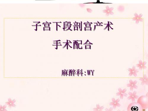 剖宫产的配合ppt课件