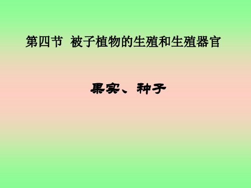总结了《果实类型》这一每年必考的题目