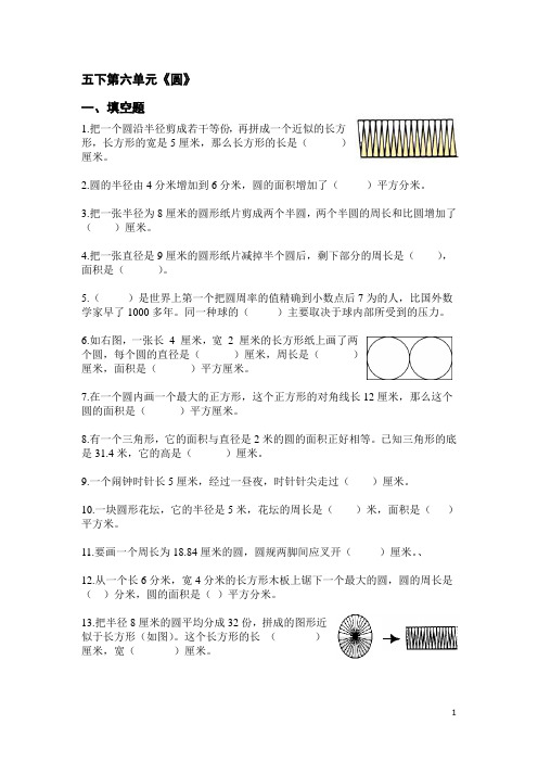 苏教版五下数学五下6单元 圆