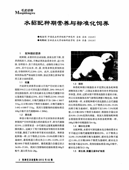 水貂配种期营养与标准化饲养
