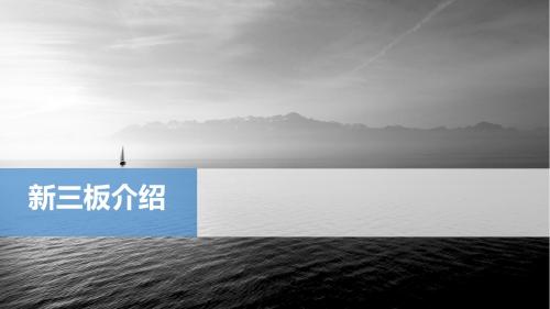 新三板上市流程