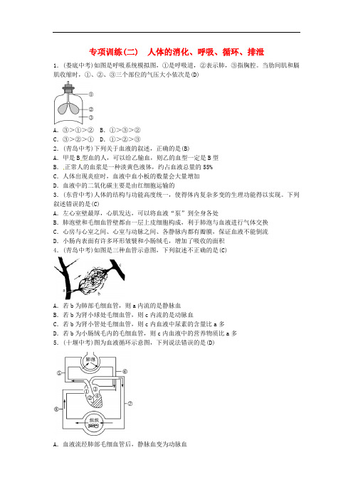 2019年中考生物总复习主题四生物圈中的人专项训练(二)人体的消化呼吸循环排泄