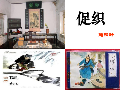 统编版高一必修下册14.《促织》(61张PPT)
