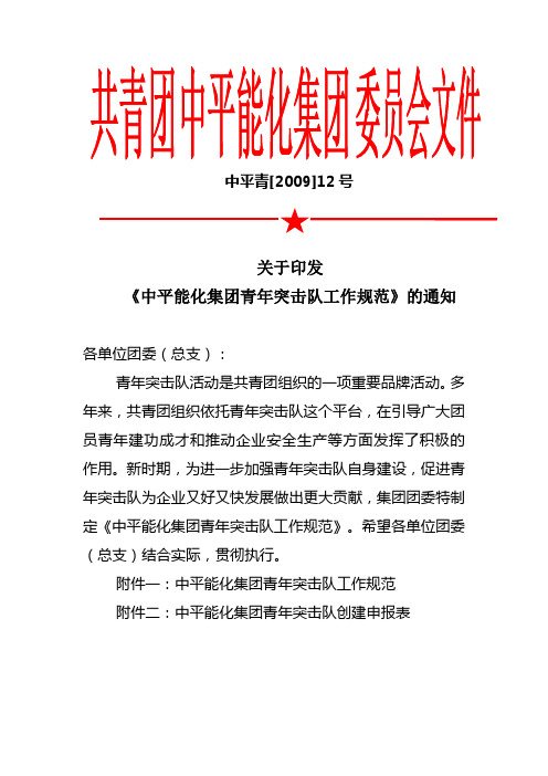 青年突击队工作规范