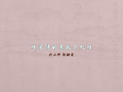 烧烫伤的急救与处理ppt课件