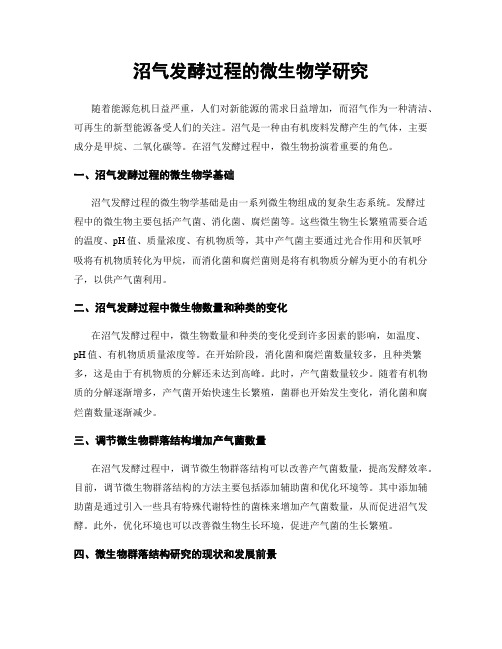 沼气发酵过程的微生物学研究