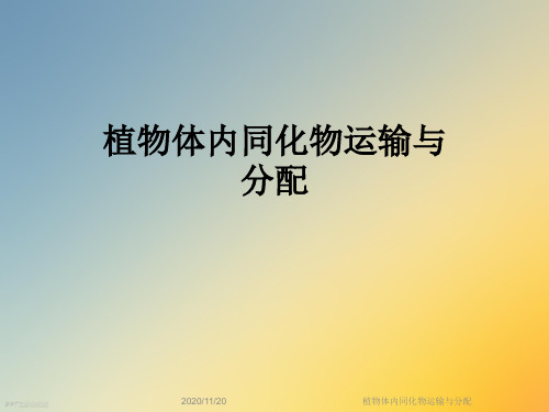 植物体内同化物运输与分配