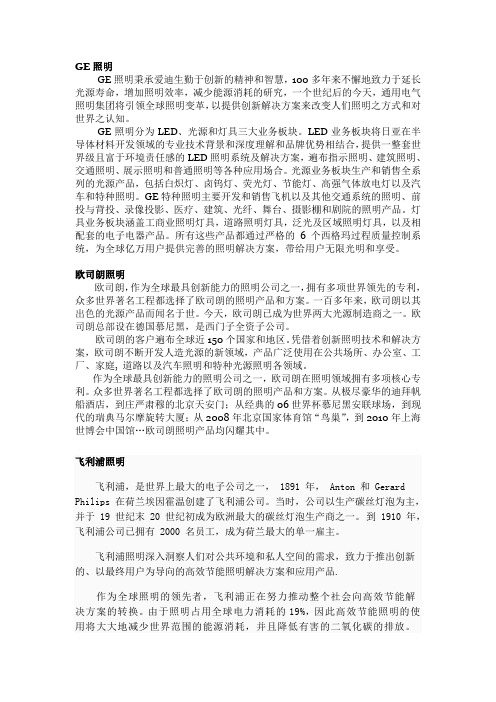 世界十大照明公司