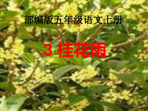 最新部编版五年级语文上册精品课件-3《桂花雨》_(共22张PPT)