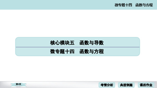 2020高考数学二轮微专题函数与方程考点考向考题点拨(50页)