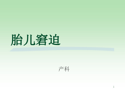 胎儿窘迫、护理诊断ppt课件