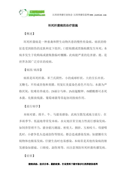 坏死杆菌病的治疗措施