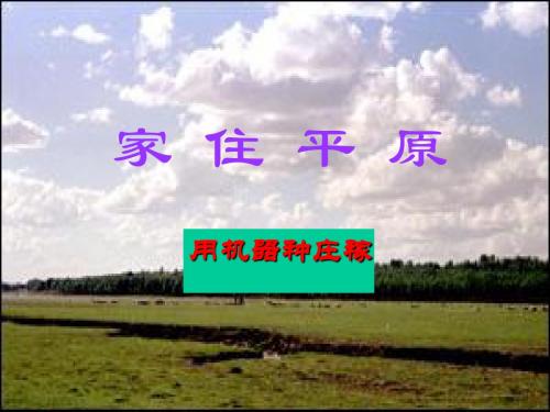 家住平原