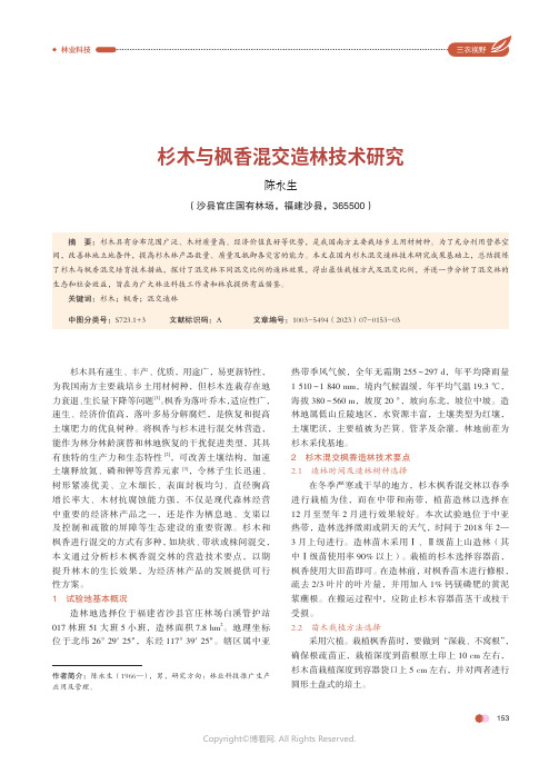 杉木与枫香混交造林技术研究