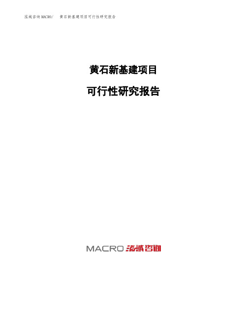 黄石新基建项目可行性研究报告