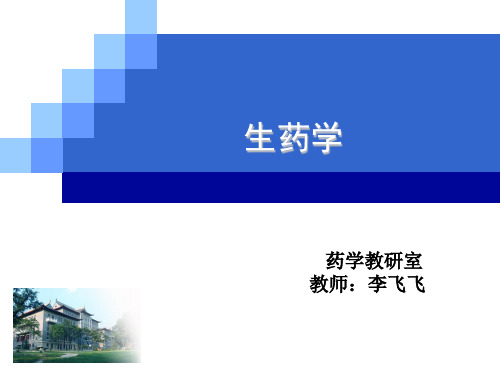药学导论-生药学
