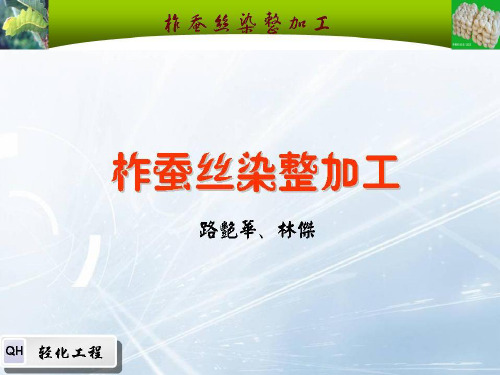 蚕丝染色PPT参考课件