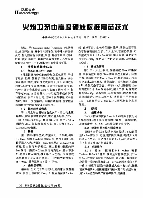 火焰卫矛中高度硬枝嫁接育苗技术