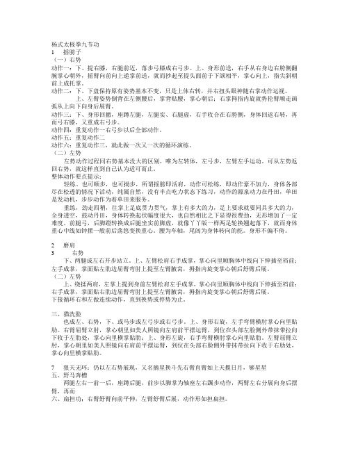 杨式太极拳九节功