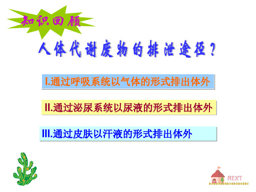 汗液的形成和排出..