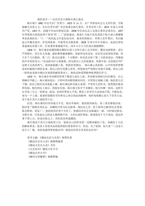 近代历史人物杨石魂之我见