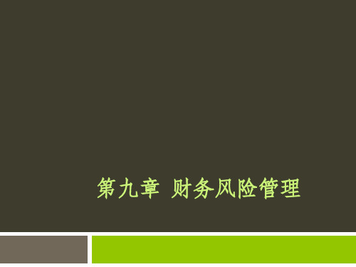 第九章  财务风险管理[56页]