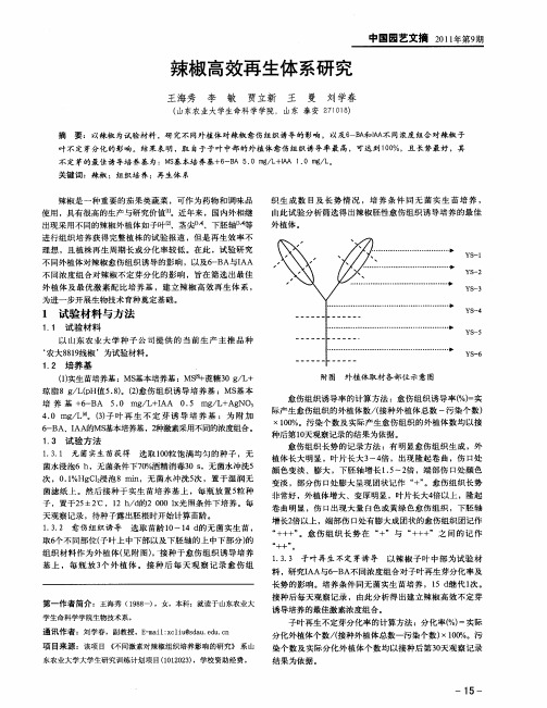 辣椒高效再生体系研究