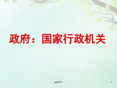 政府的职能  ppt课件