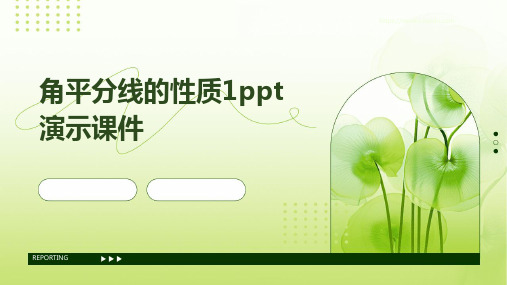 角平分线的性质1PPT演示课件