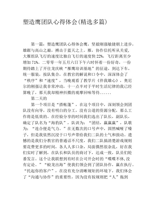 塑造鹰团队心得体会(精选多篇)