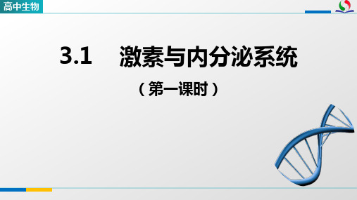 《_激素与内分泌系统(第一课时)》优质课件