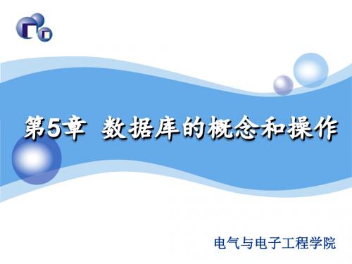 数据库的概念和操作PPT课件