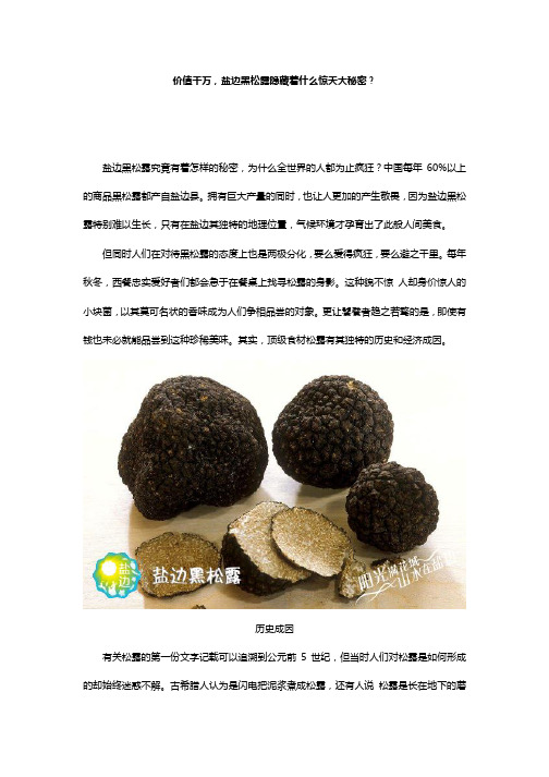 价值千万,盐边黑松露隐藏着什么惊天大秘密？