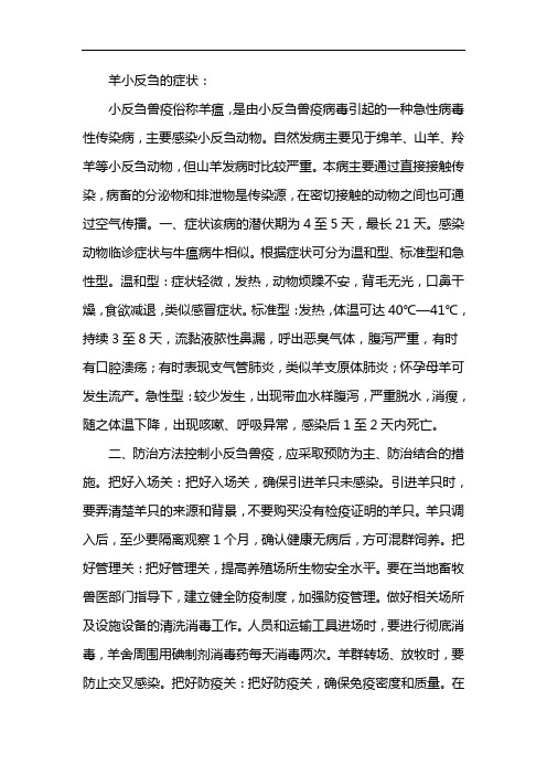 羊小反刍的症状