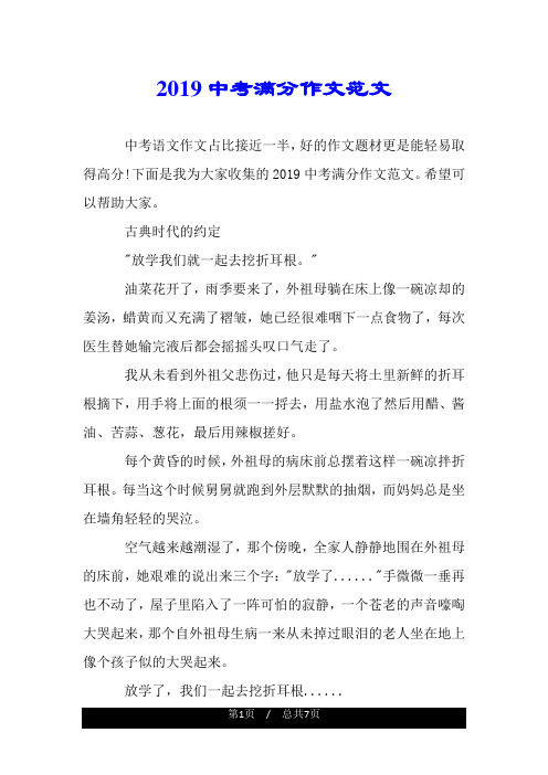 2019中考满分作文范文.doc
