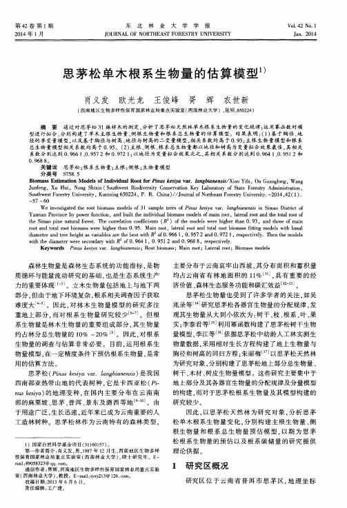 思茅松单木根系生物量的估算模型