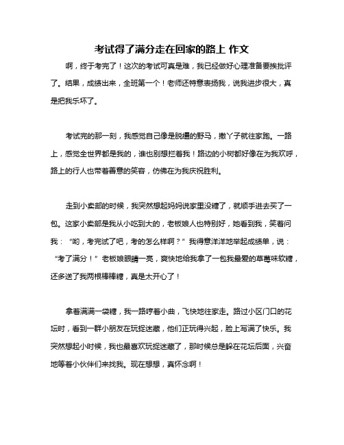 考试得了满分走在回家的路上 作文