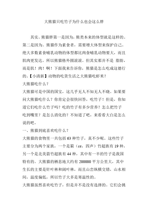 大熊猫只吃竹子为什么也会这么胖