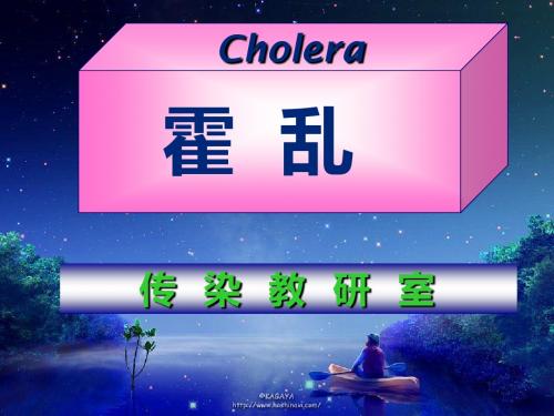 12霍乱