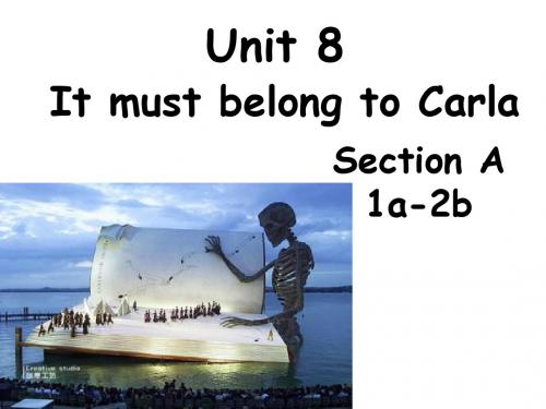 湖北省九年级英语全册Unit 8 It must belong to Carla