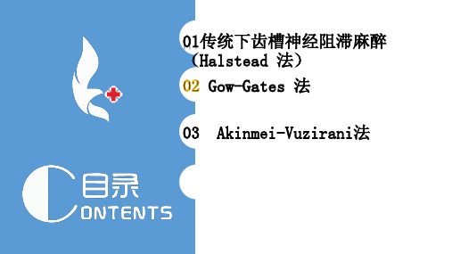 下牙槽神经阻滞麻醉