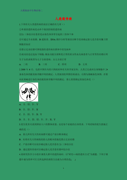 高中生物必修二课时作业23：5.3 人类遗传病
