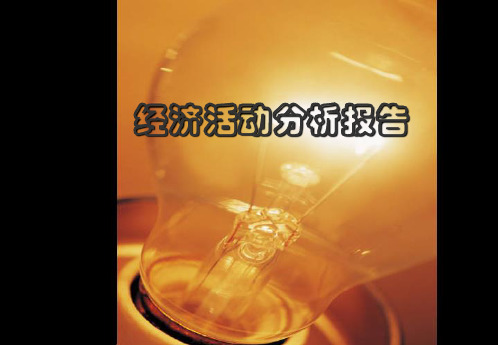 经济活动分析报告